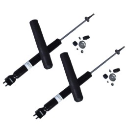 Pair of Shock Absorbers Front W113
